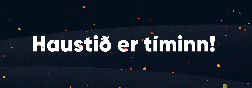 haustið er tíminn