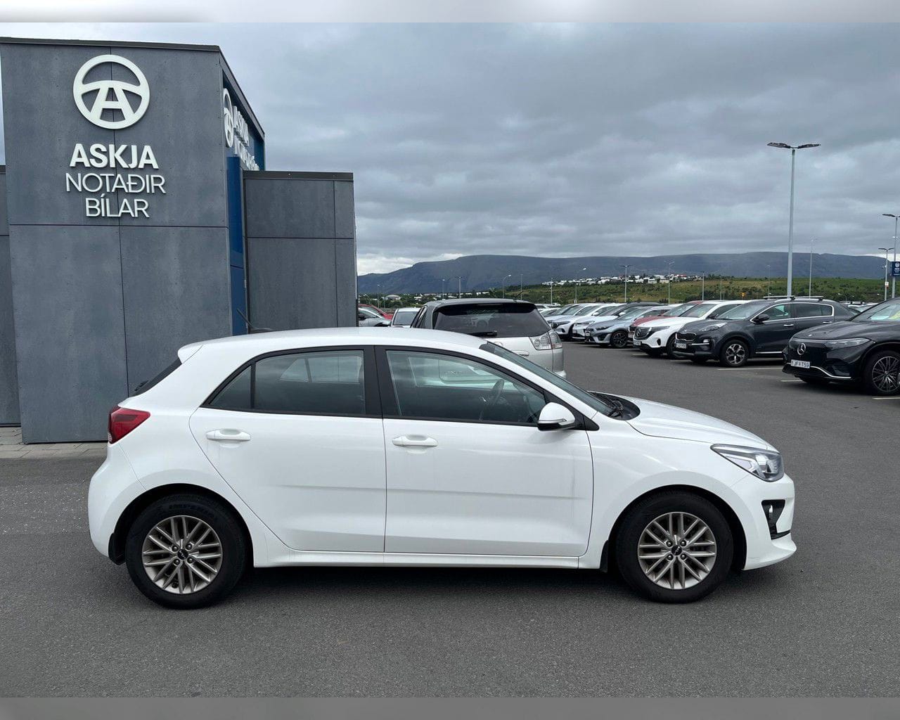 KIA RIO URBAN
